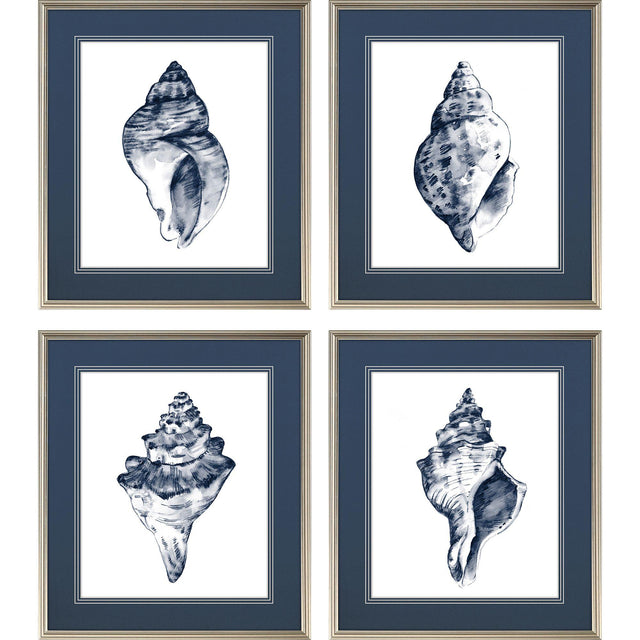 Paragon Quiet Conch S/4 Blue 27 X 23 X 1 Wall Art