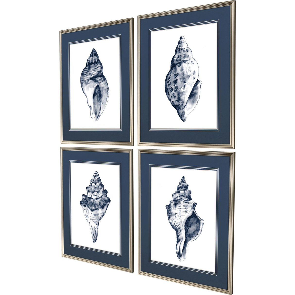 Paragon Quiet Conch S/4 Blue 27 X 23 X 1 Wall Art