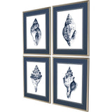 Paragon Quiet Conch S/4 Blue 27 X 23 X 1 Wall Art