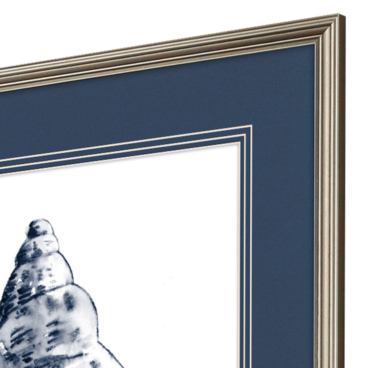 Paragon Quiet Conch S/4 Blue 27 X 23 X 1 Wall Art
