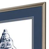 Paragon Quiet Conch S/4 Blue 27 X 23 X 1 Wall Art