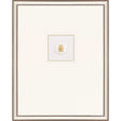 Paragon Beetle Intaglio Metallic 25 X 20 X 2 Wall Art