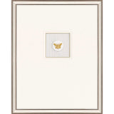 Paragon Butterfly Intaglio Metallic 25 X 20 X 2 Wall Art
