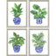 Paragon Botanical Blues S/4 Blue 17 X 13 X 1 Wall Art