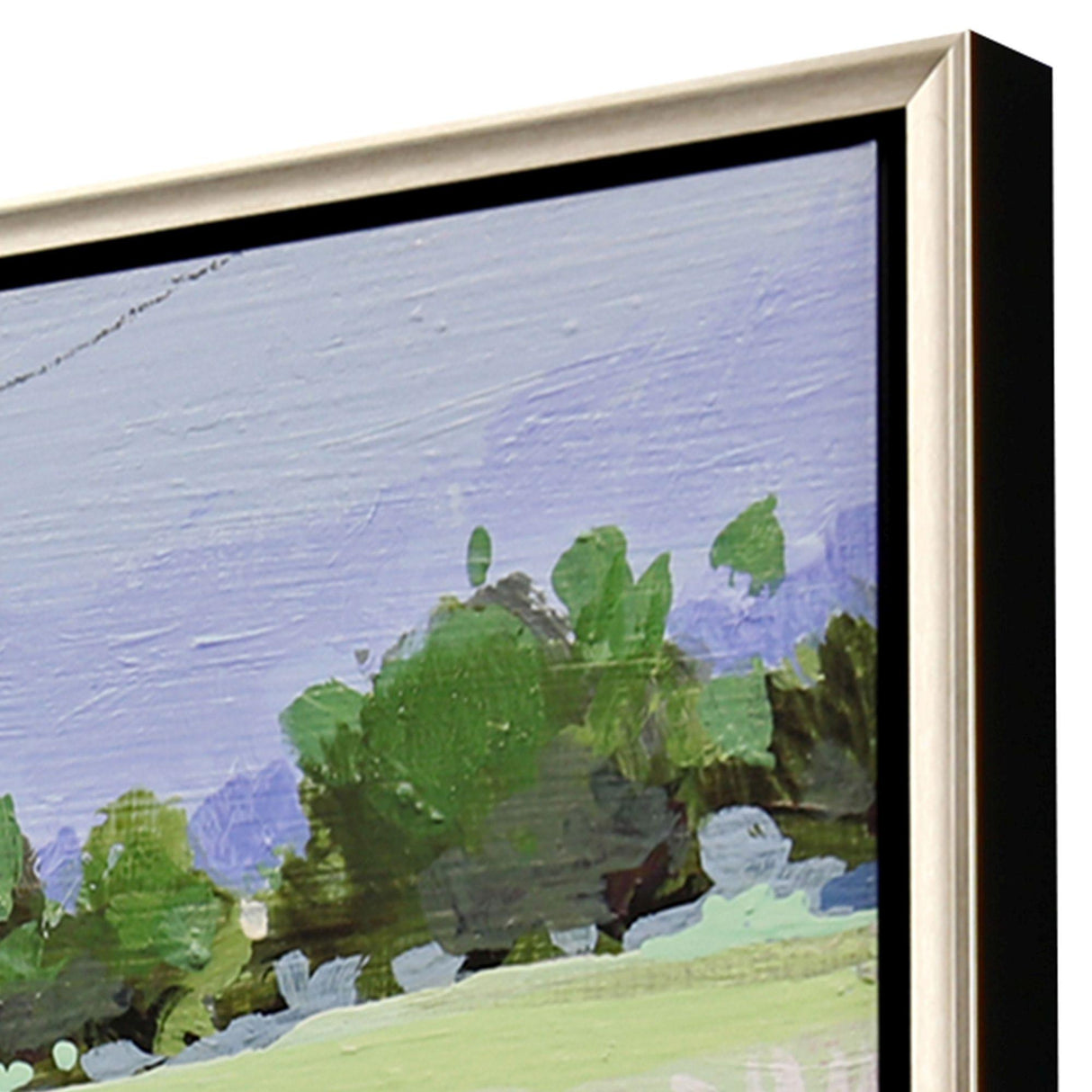 Paragon Wild Meadow Green 38 X 50 X 3 Wall Art