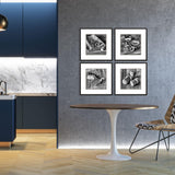 Paragon Cork S/4 Black 19 X 19 X 1 Wall Art