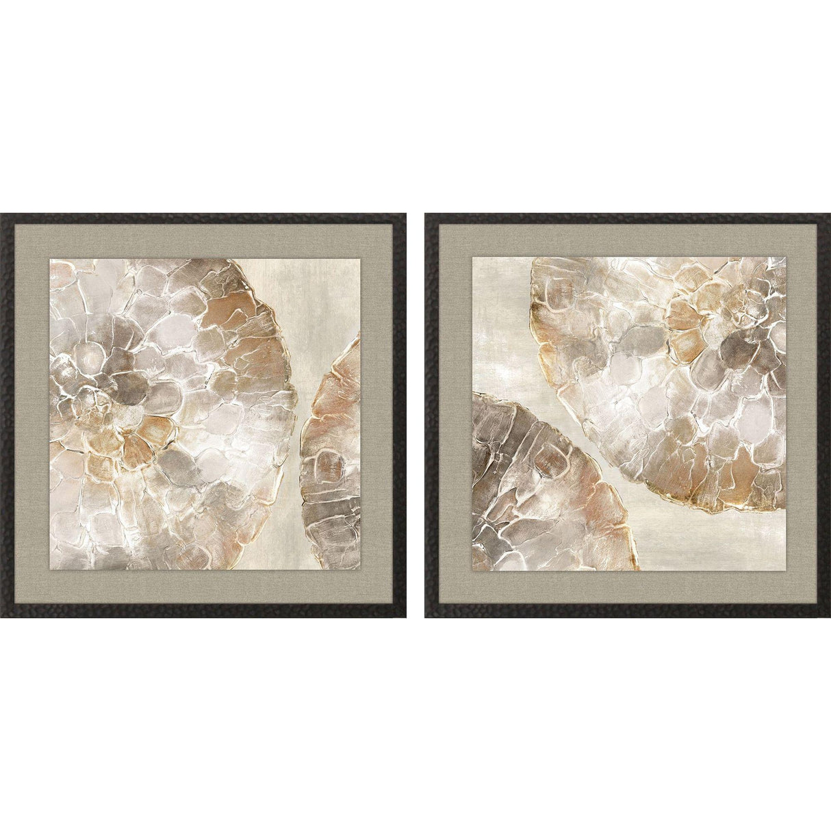 Paragon Golden Medallions S/2 Beige 21 X 21 X 1 Wall Art