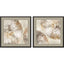 Paragon Golden Medallions S/2 Beige 21 X 21 X 1 Wall Art