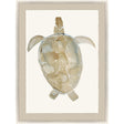 Paragon Neutral Turtle I Brown 51 X 37 X 2 Wall Art