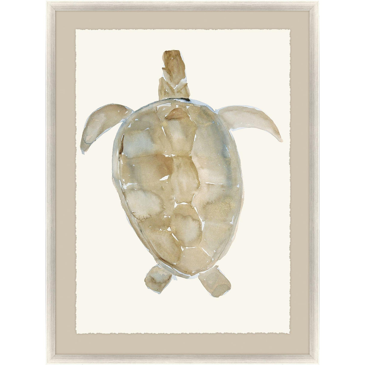 Paragon Neutral Turtle I Brown 51 X 37 X 2 Wall Art