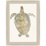 Paragon Neutral Turtle I Brown 51 X 37 X 2 Wall Art