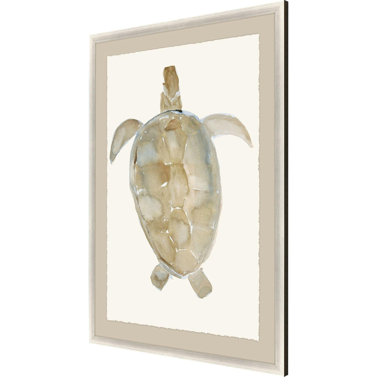 Paragon Neutral Turtle I Brown 51 X 37 X 2 Wall Art