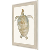 Paragon Neutral Turtle I Brown 51 X 37 X 2 Wall Art