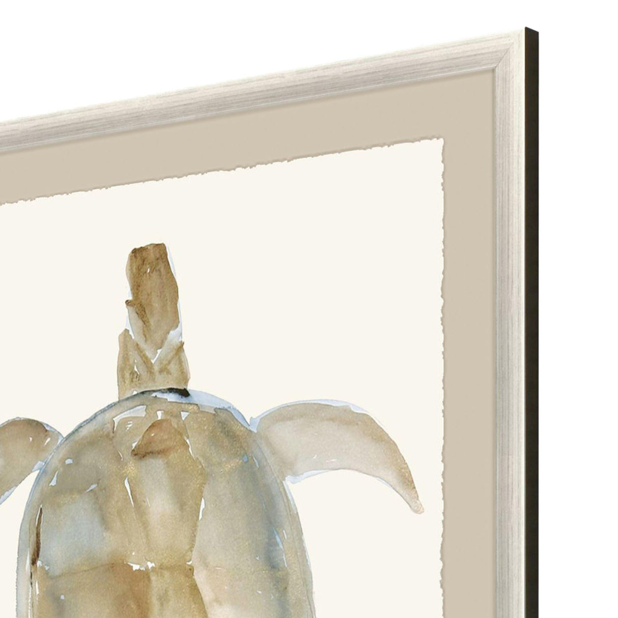 Paragon Neutral Turtle I Brown 51 X 37 X 2 Wall Art