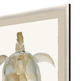 Paragon Neutral Turtle I Brown 51 X 37 X 2 Wall Art