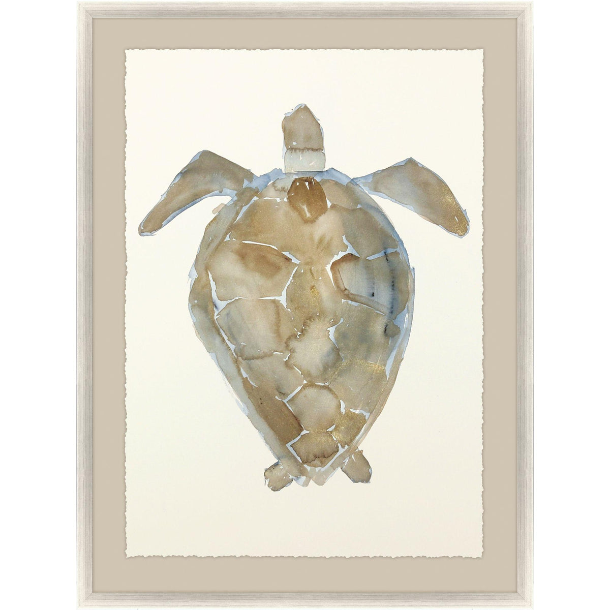 Paragon Neutral Turtle Ii Brown 51 X 37 X 2 Wall Art – DecoratorsBest