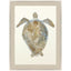 Paragon Neutral Turtle II Brown 51 X 37 X 2 Wall Art