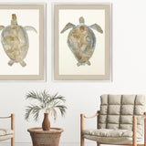 Paragon Neutral Turtle II Brown 51 X 37 X 2 Wall Art