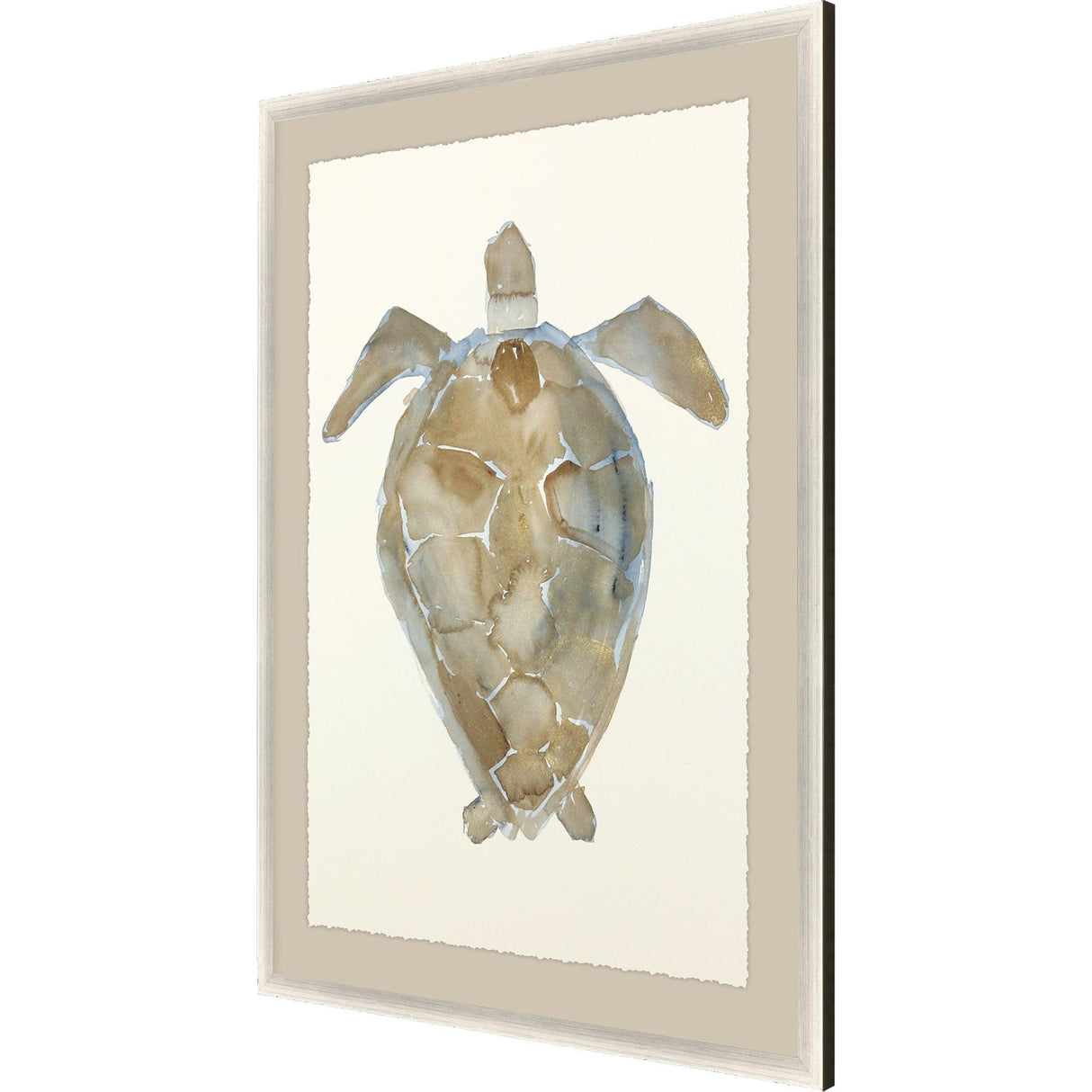 Paragon Neutral Turtle II Brown 51 X 37 X 2 Wall Art