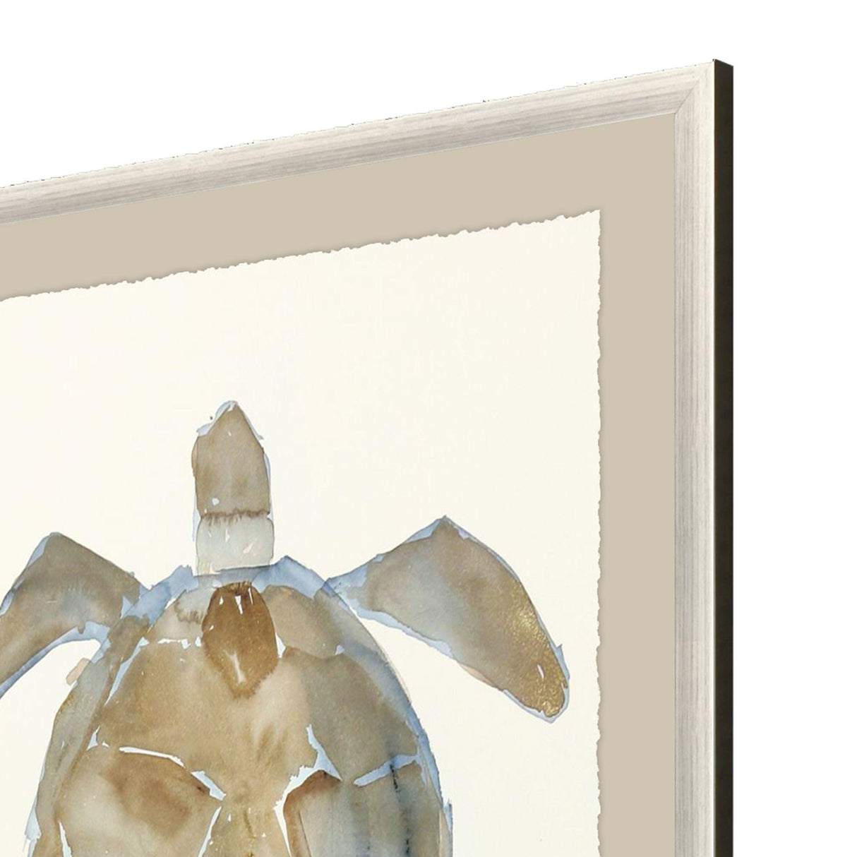 Paragon Neutral Turtle II Brown 51 X 37 X 2 Wall Art