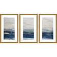 Paragon Oceania S/3 Blue 32 X 20 X 2 Wall Art
