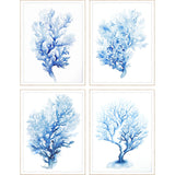 Paragon Indigo Coral S/4 Blue 25 X 19 X 2 Wall Art