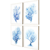Paragon Indigo Coral S/4 Blue 25 X 19 X 2 Wall Art