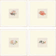 Paragon Coastal Medley S/4 Beige 15 X 15 X 2 Wall Art