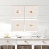 Paragon Coastal Medley S/4 Beige 15 X 15 X 2 Wall Art