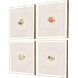 Paragon Coastal Medley S/4 Beige 15 X 15 X 2 Wall Art