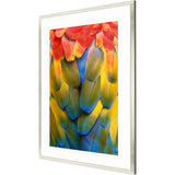 Paragon Scarlet Macaw Green 51 X 39 X 2 Wall Art