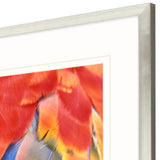 Paragon Scarlet Macaw Green 51 X 39 X 2 Wall Art