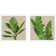 Paragon Palm Isle I S/2 Green 26 X 26 X 1 Wall Art