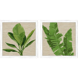 Paragon Palm Isle I S/2 Green 26 X 26 X 1 Wall Art