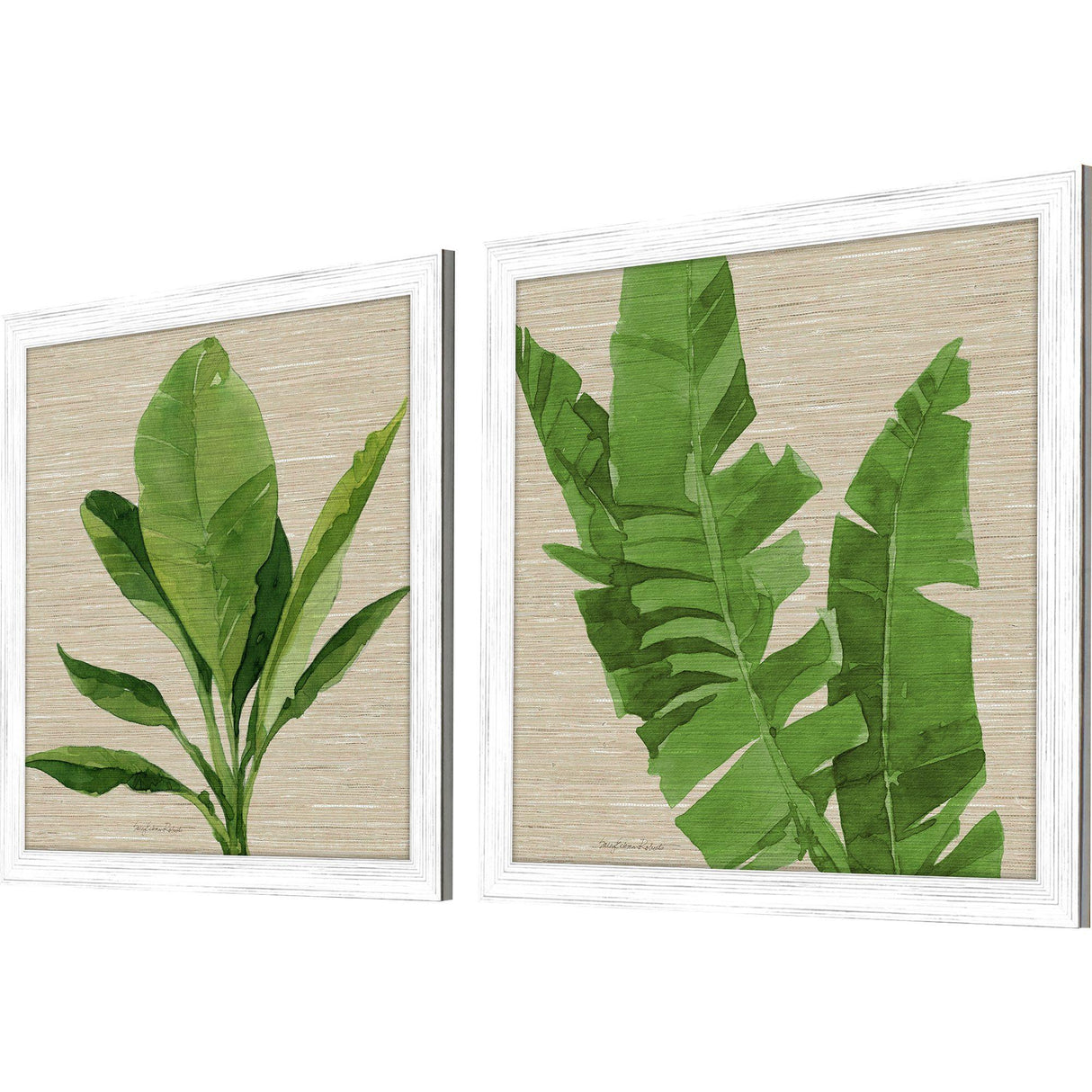 Paragon Palm Isle I S/2 Green 26 X 26 X 1 Wall Art