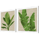 Paragon Palm Isle I S/2 Green 26 X 26 X 1 Wall Art