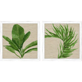 Paragon Palm Isle II S/2 Green 26 X 26 X 1 Wall Art