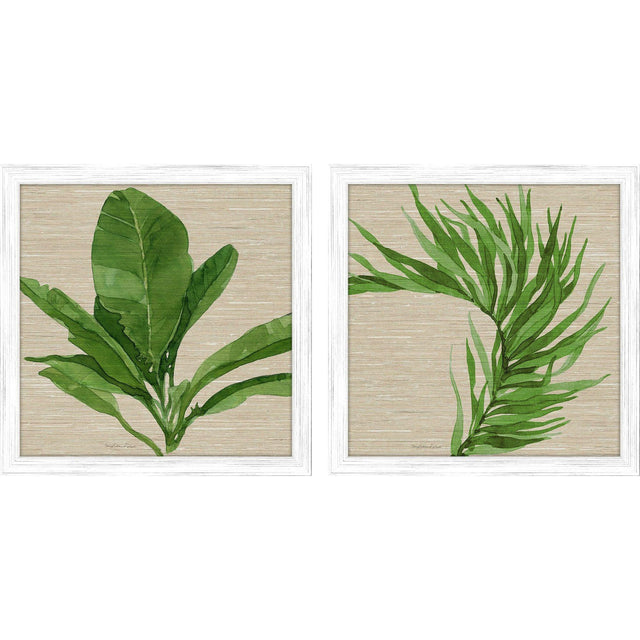 Paragon Palm Isle II S/2 Green 26 X 26 X 1 Wall Art