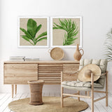 Paragon Palm Isle II S/2 Green 26 X 26 X 1 Wall Art