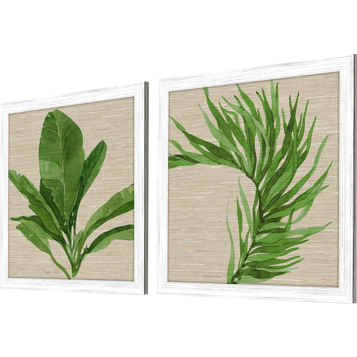 Paragon Palm Isle II S/2 Green 26 X 26 X 1 Wall Art