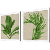 Paragon Palm Isle II S/2 Green 26 X 26 X 1 Wall Art