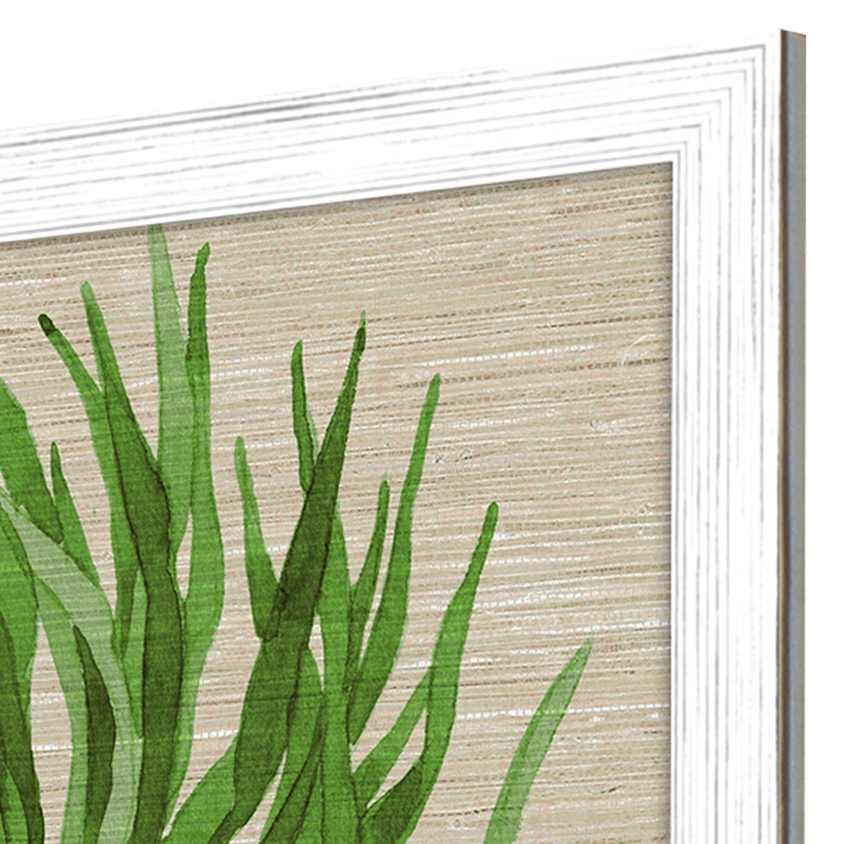 Paragon Palm Isle II S/2 Green 26 X 26 X 1 Wall Art