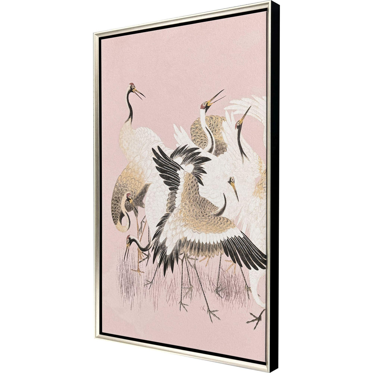 Paragon Curious Cranes - Plumule Pink 50 X 34 X 3 Wall Art