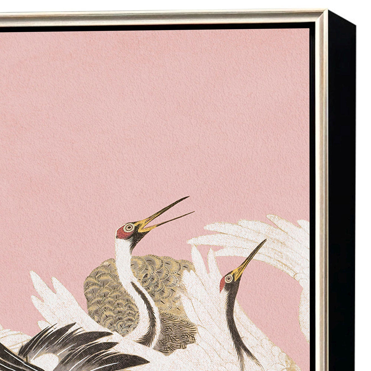 Paragon Curious Cranes - Plumule Pink 50 X 34 X 3 Wall Art