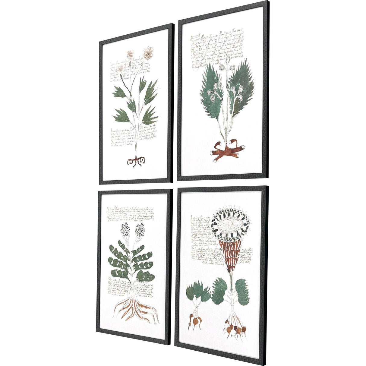 Paragon Magical Botany S/4 Green 25 X 17 X 1 Wall Art