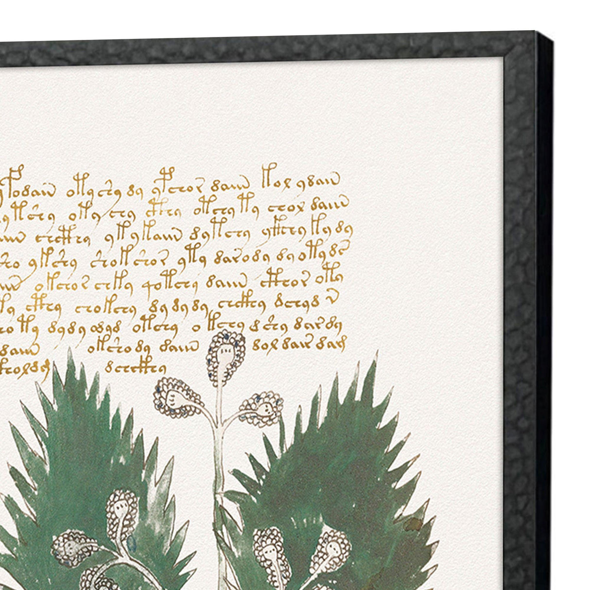 Paragon Magical Botany S/4 Green 25 X 17 X 1 Wall Art