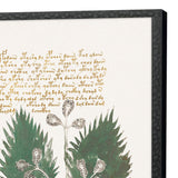 Paragon Magical Botany S/4 Green 25 X 17 X 1 Wall Art