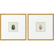 Paragon Beetles S/2 Green 17 X 17 X 1 Wall Art