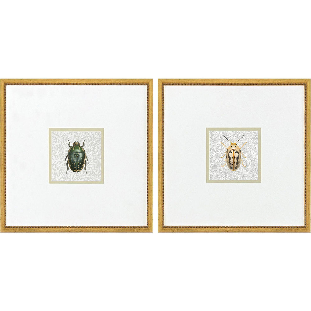 Paragon Beetles S/2 Green 17 X 17 X 1 Wall Art