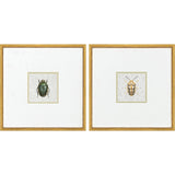 Paragon Beetles S/2 Green 17 X 17 X 1 Wall Art